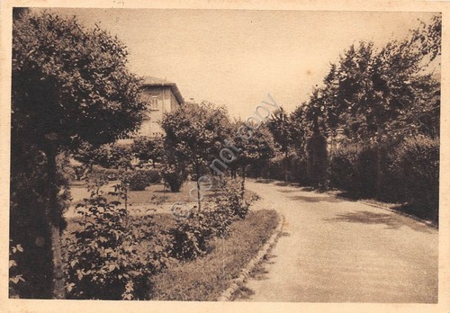 Cartolina - Postcard - Novara - Ospedale Maggiore della Carità …