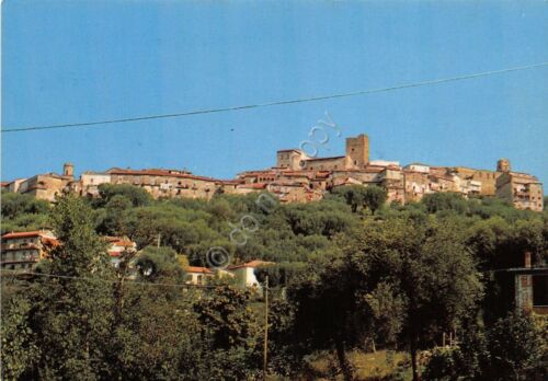 Cartolina - Postcard - Novi Velia - Panorama - 1985