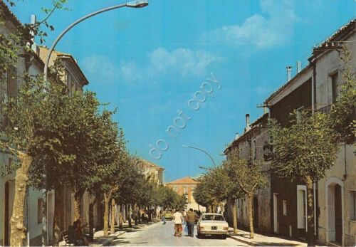 Cartolina - Postcard - Orsana di Puglia - Corso Vittoria …