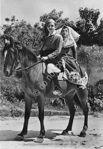 Cartolina - Postcard - Osilo - Costumi Sardi - Cavallo …