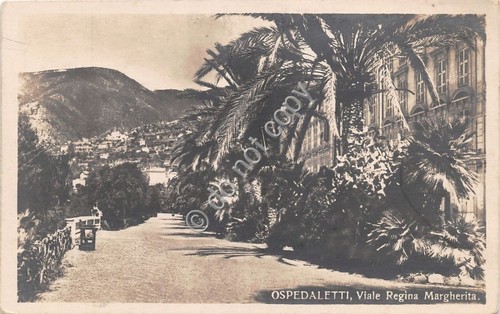 Cartolina - Postcard - Ospedaletti - Viale Regina Margherita - …