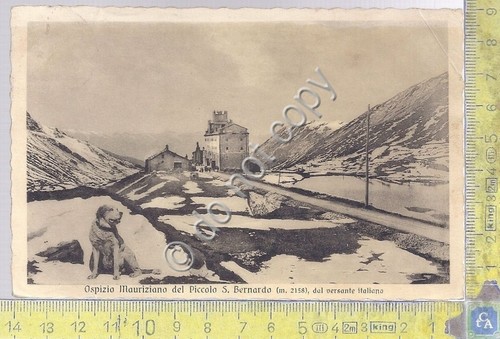 Cartolina - Postcard - Ospizio Mauriziano del Piccolo S. Bernardo …