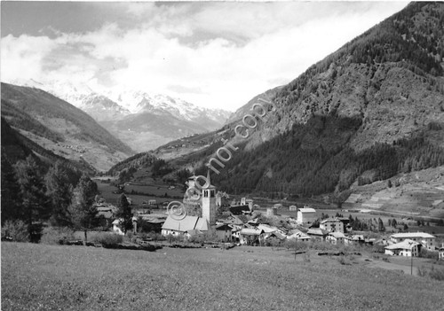 Cartolina - Postcard - Ossana - panorama - 1963