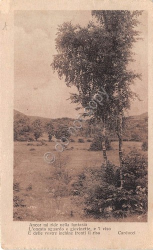 Cartolina - Postcard - Paesaggio con alberi - Poesia Carducci …