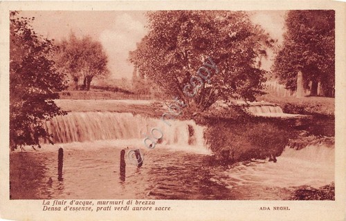 Cartolina - Postcard - Paesaggio con alberi e cascate - …