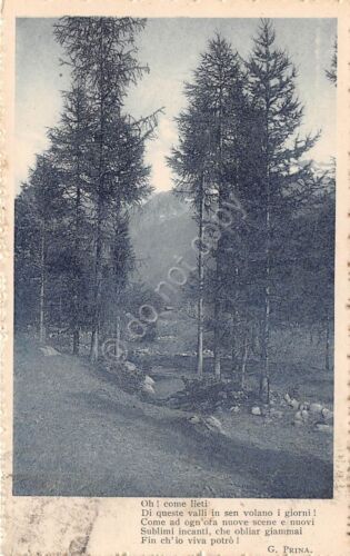 Cartolina - Postcard - Paesaggio montano - Poesia G. Prina …