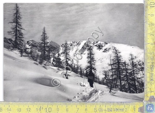 Cartolina - Postcard - Palabione - Verso Lago Aprica - …