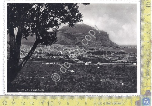 Cartolina - Postcard - Palermo - Panorama - 1953