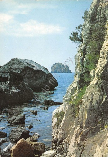 Cartolina - Postcard - Palinuro - Scogliera - 1968