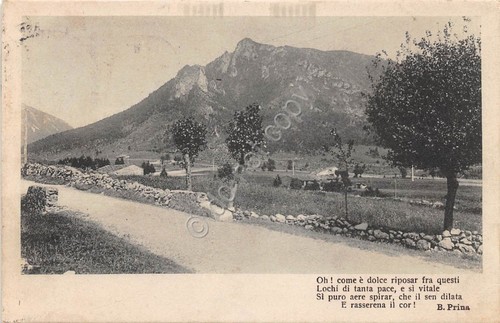 Cartolina - Postcard - Panorama campagna - monti - Poesia …