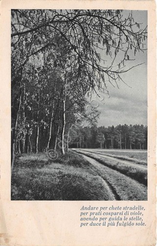 Cartolina - Postcard - Panorama di campagna - poesia - …