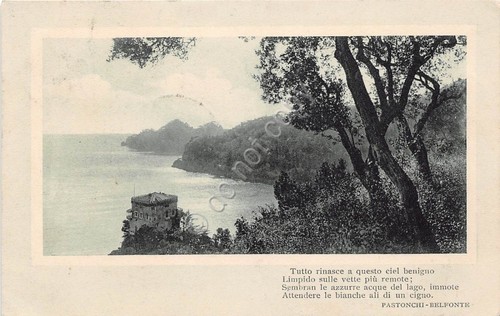 Cartolina - Postcard - Panorama lago - Poesia Pastonchi Belfonte …