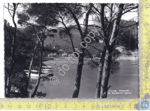 Cartolina - Postcard - Paraggi - Panorama dalla pineta - …