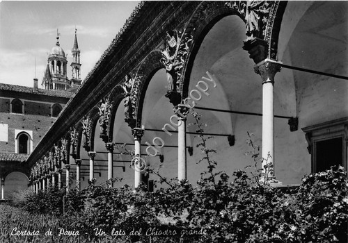 Cartolina - Postcard - Pavia - Certosa - Chiostro Grande …