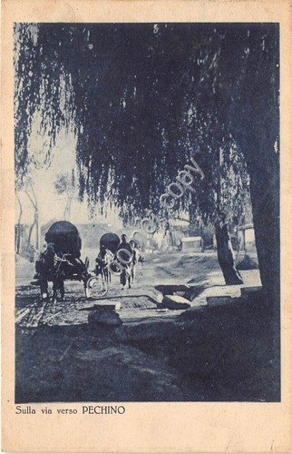 Cartolina - Postcard - Pechino China sulla via animata carri …