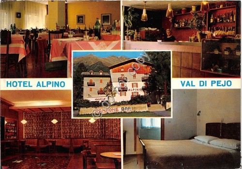 Cartolina - Postcard - Pejo - Hotel Alpino - vedutine …