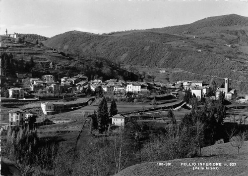Cartolina - Postcard - Pellio Inferiore - Panorama - 1953