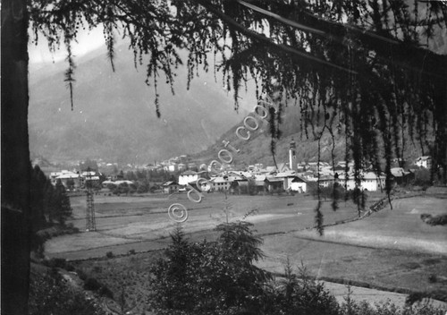 Cartolina - Postcard - Pellizzano - Panorama - 1966