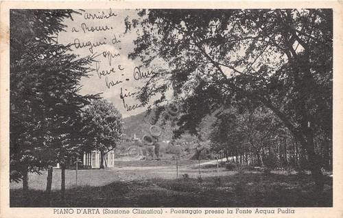 Cartolina - Postcard - Piano d' Arta - Panorama vesro …