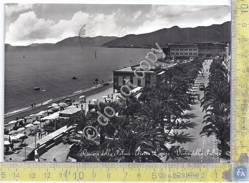 Cartolina - Postcard - Pietra Ligure - Viale delle Palme …