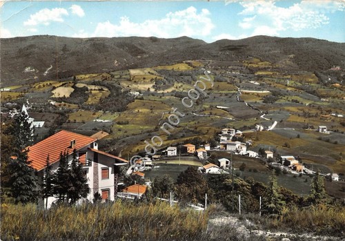 Cartolina - Postcard - Pietragavina panorama parziale da pineta anni …