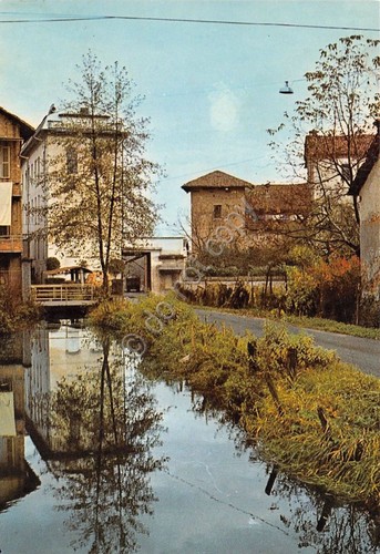 Cartolina - Postcard - Polonghera - Castello da via Molino- …