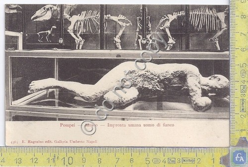 Cartolina - Postcard - Pompei - Impronta umana - anni …