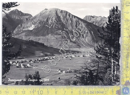 Cartolina - Postcard - Ponte di Legno - Il Castellaccio …