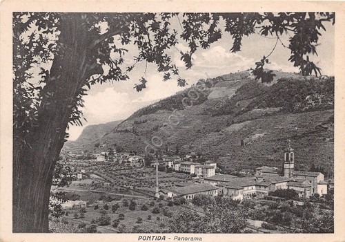 Cartolina - Postcard - Pontida - Panorama - anni '50