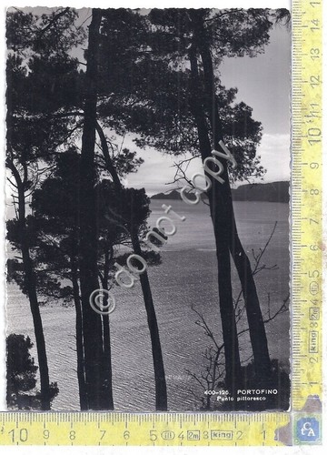 Cartolina - Postcard - Portofino - Punto Pittoresco - anni …