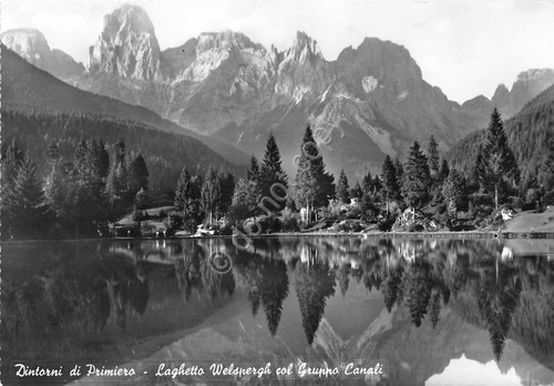 Cartolina - Postcard - Primiero - Laghetto Welspergh - Gruppo …