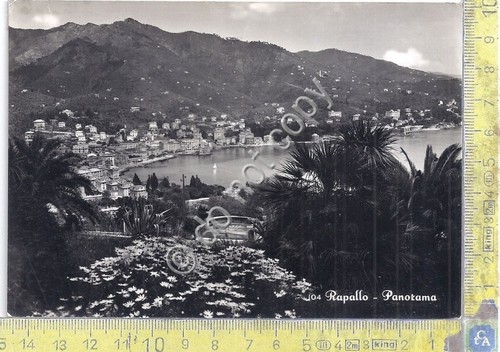 Cartolina - Postcard - Rapallo - Panorama - 1951