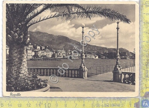 Cartolina - Postcard - Rapallo - Panorama da passeggiata - …
