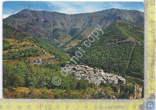 Cartolina - Postcard - Realdo - Panorama - anni '70