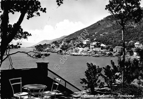 Cartolina - Postcard - Recco - Panorama - 1956