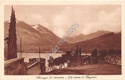 Cartolina - Postcard - Regoledo - Uliveti - Menaggio dal …