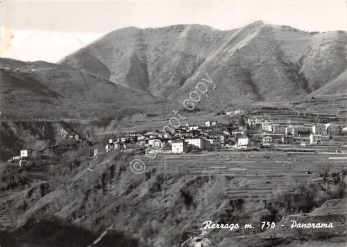 Cartolina - Postcard - Rezzago - Panorama - 1958