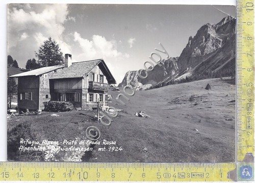 Cartolina - Postcard - Rifigio Alpino - Prato di Croda …