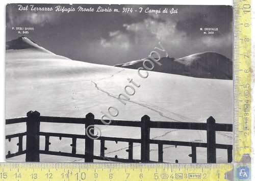 Cartolina - Postcard - Rifugio Monte Livrio - 1957 (Sondrio)
