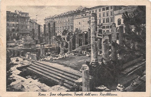Cartolina - Postcard - Roma - Foro Argentina - Templi …