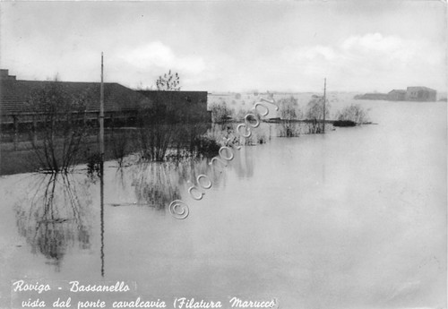 Cartolina - Postcard - Rovigo - Bassanello - Filatura Marucco- …