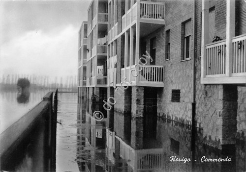 Cartolina - Postcard - Rovigo - Commenda - alluvione - …