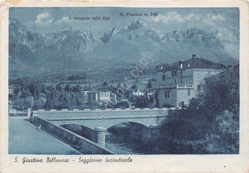 Cartolina - Postcard - S. Giustina Bellunese - Panorana - …