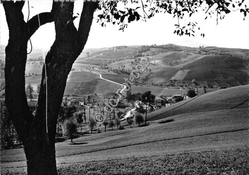 Cartolina - Postcard - S. Ilario Braganza - Panorama - …