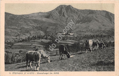 Cartolina - Postcard - S. Stefano d'Aveto - Roncolongo - …