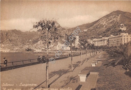 Cartolina - Postcard - Salerno - Lungomare - anni '50