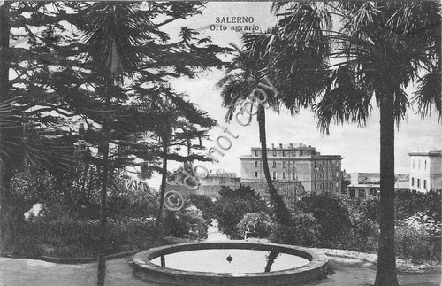 Cartolina - Postcard - Salerno - Orto Agrario - 1939