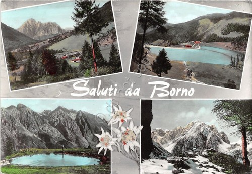 Cartolina - Postcard - Saluti da - Borno - Vedutine …