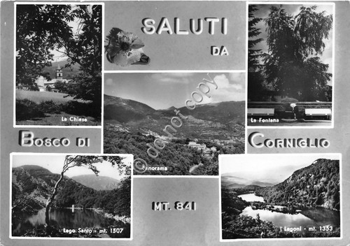 Cartolina - Postcard - Saluti da - Bosco di Corniglio- …