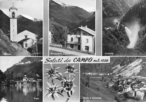 Cartolina - Postcard - Saluti da - Campo - Vedutine …
